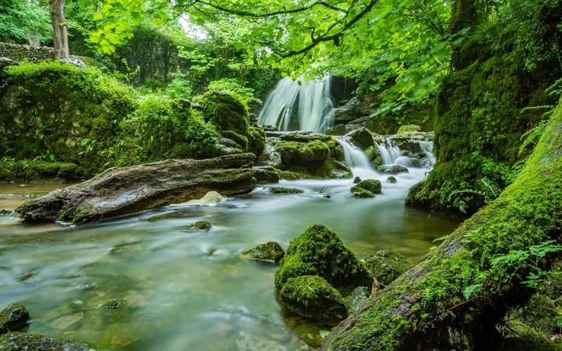 智能智能智能